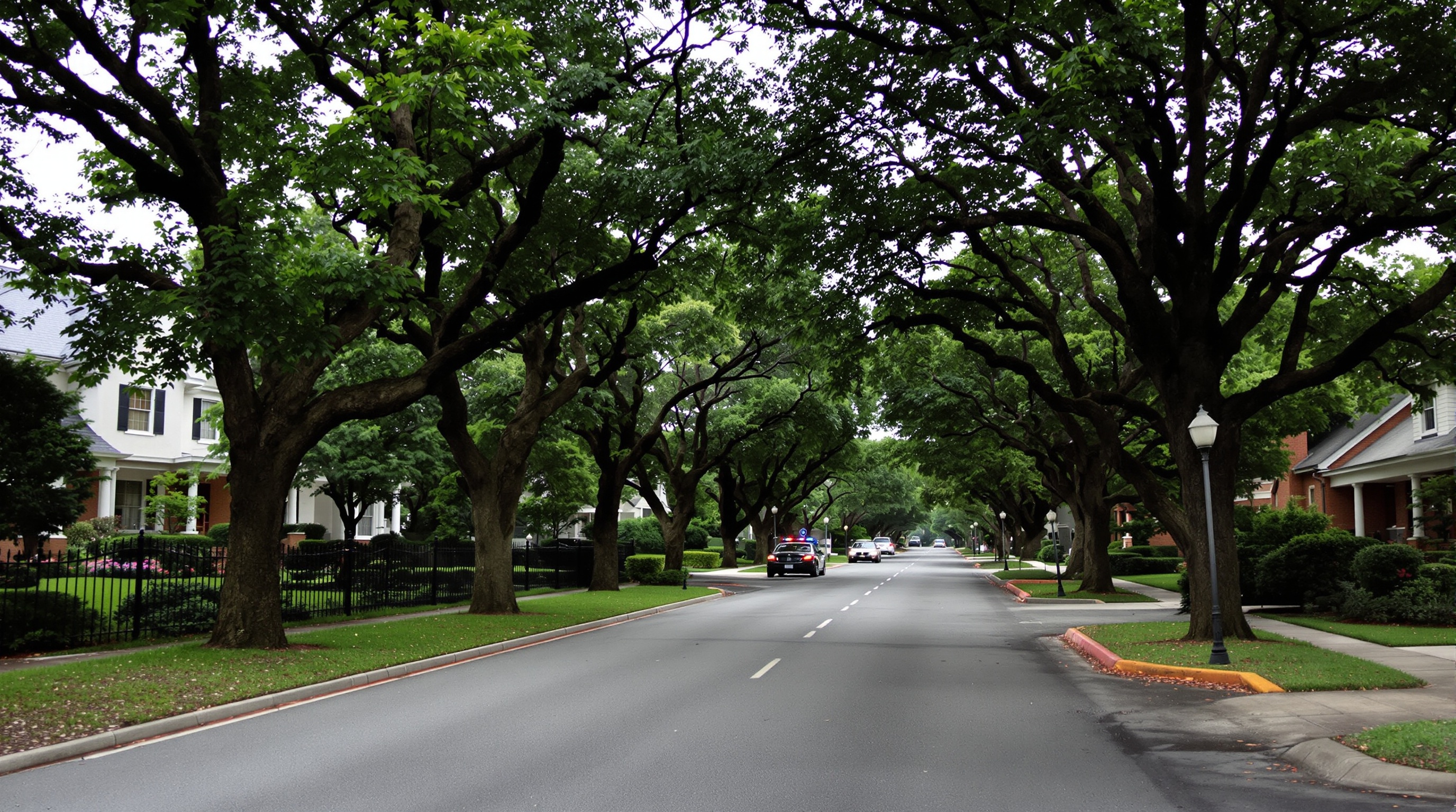 Rua arborizada do Alphaville Residencial 1 com casarões de lotes grandes e segurança privada