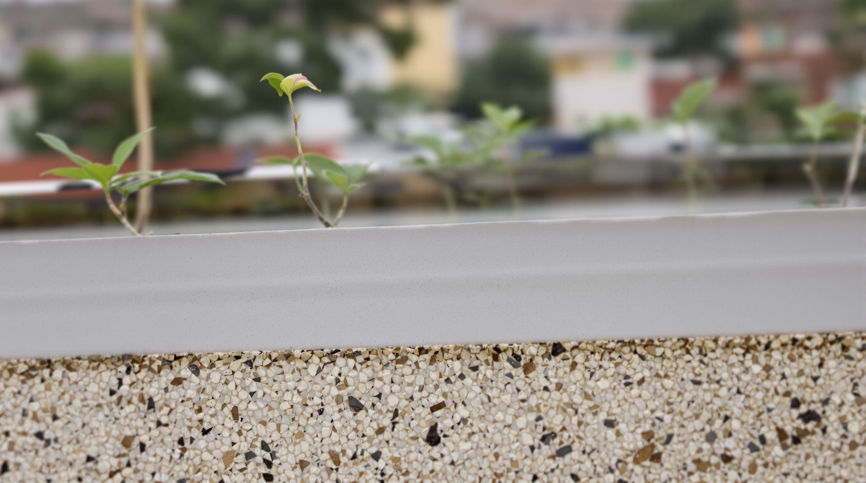 Detalhe de drenagem e sistema de raízes em telhado verde com substrato de 15 cm, mostrando paisagem de favela ao fundo