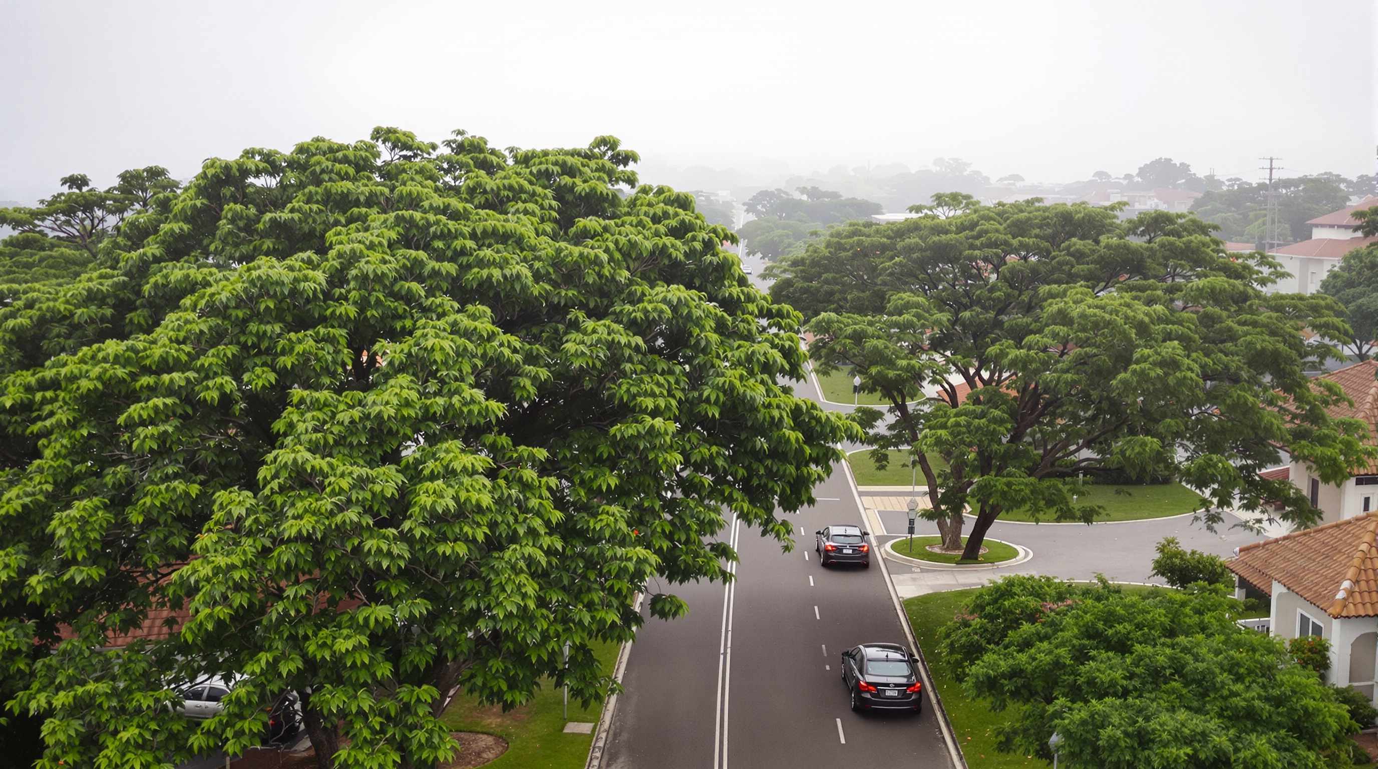 Rua arborizada do condomínio Villas do Golfe com infraestrutura de segurança